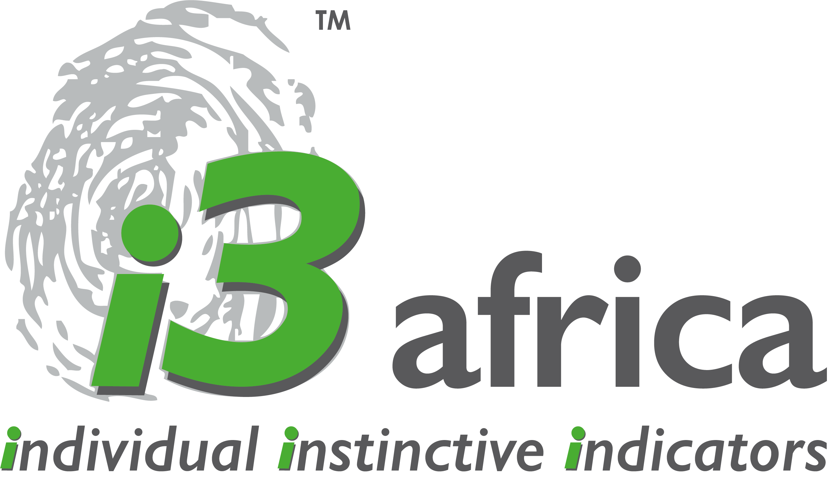 i3 africa Logo_NEW